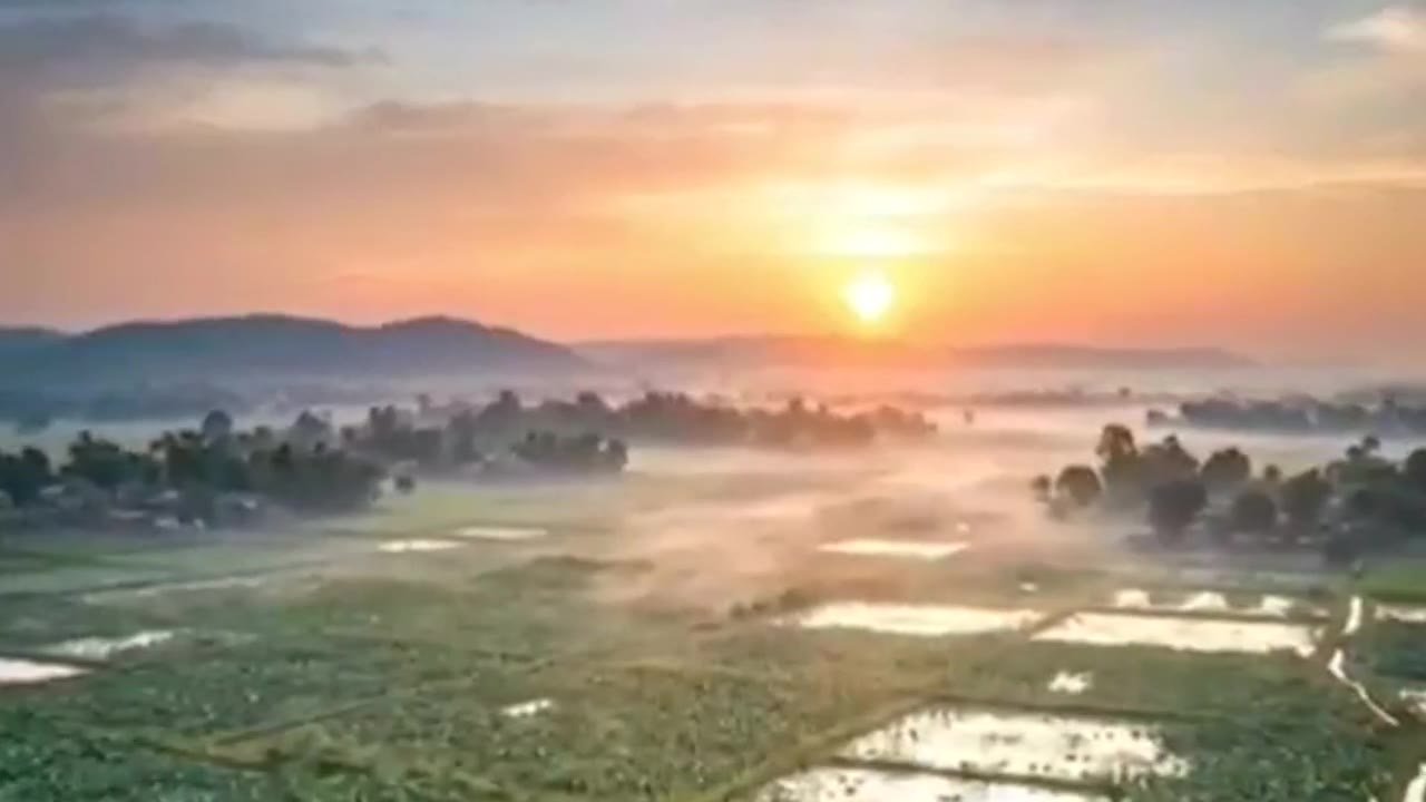 Wetland farmland in northern India at sunrise, where Argoish sources its crops